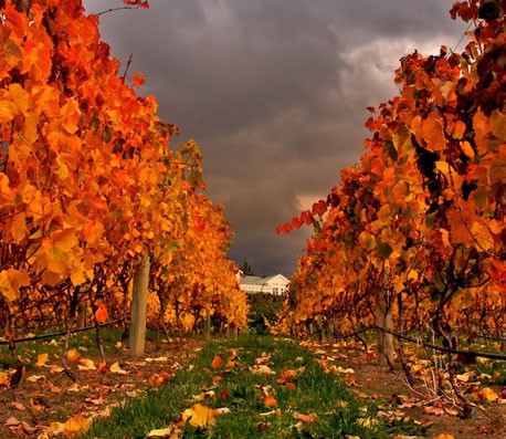 电话呼叫轰炸app