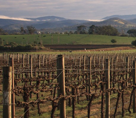 接码短信社区平台